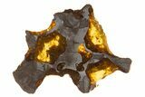 Polished Imilac Pallasite Meteorite ( g) Slice #334653-1